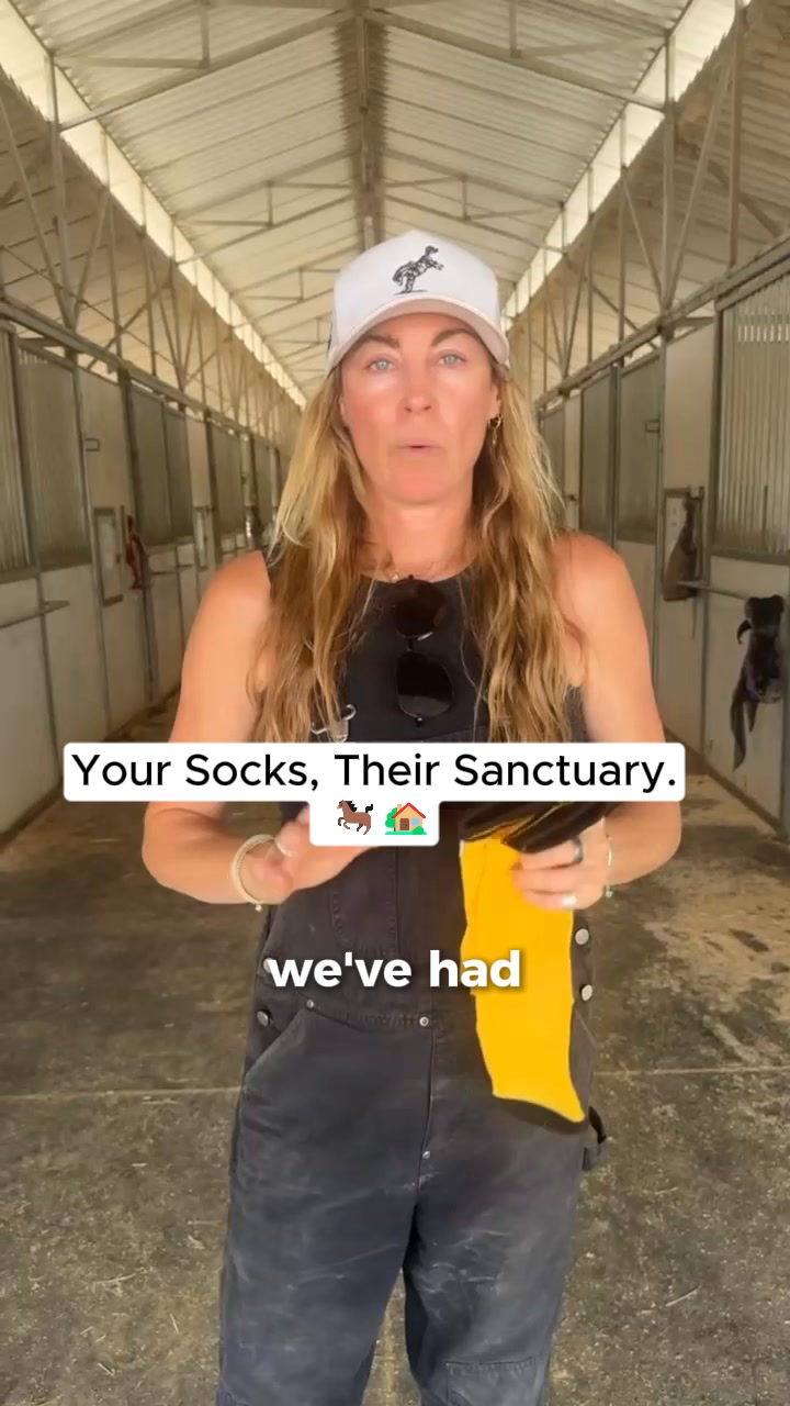 All Seated in a Barn Facebook ad: Every Pair Counts