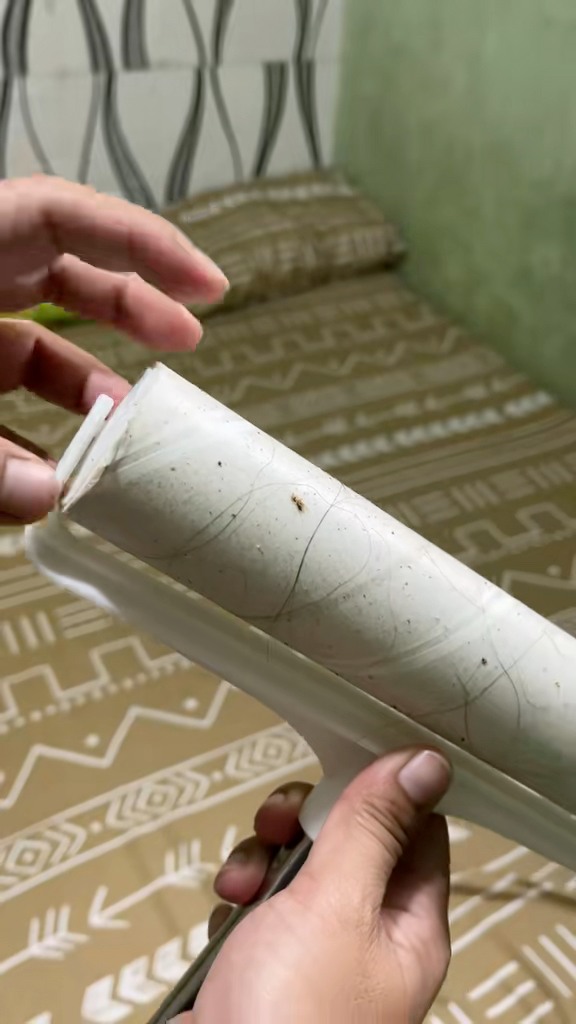 Shopee Facebook ad: Sticky Lint Roller https://s.shopee.ph/2qSa9QE4j3