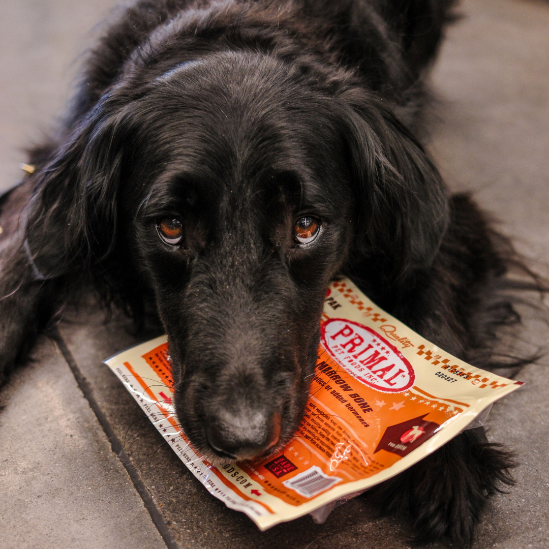 Pet Supplies Plus Facebook ad