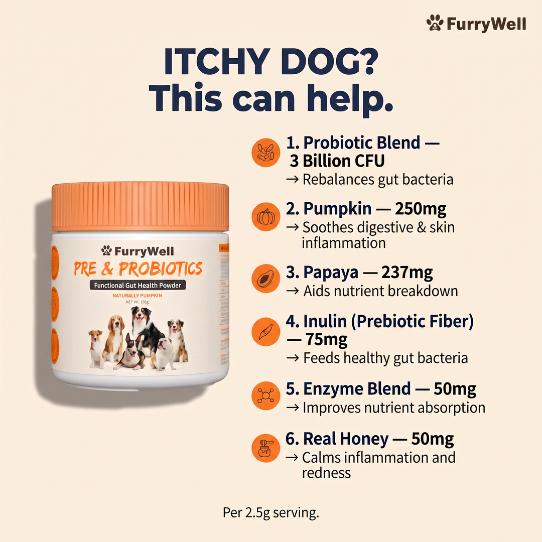 FurryWell Philippines Facebook ad: Our vet-recommended gut supplement