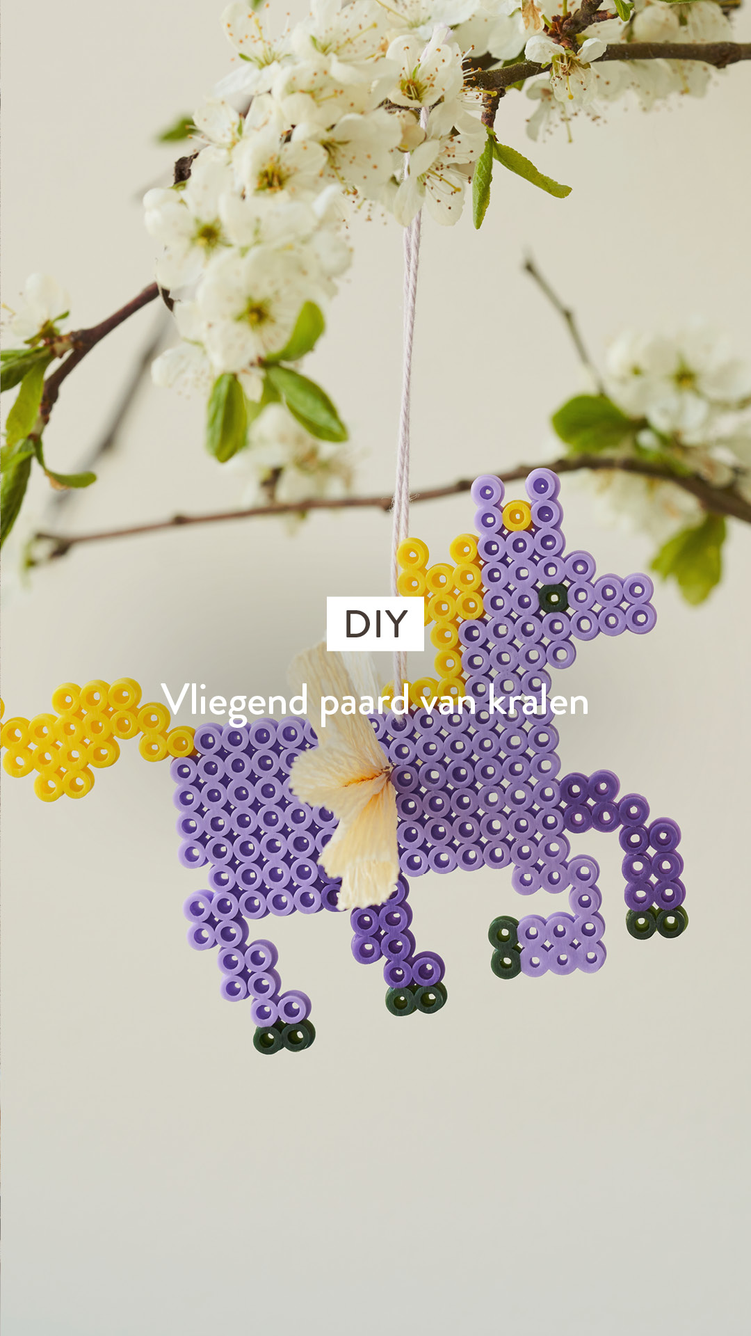 Søstrene Grene Facebook ad