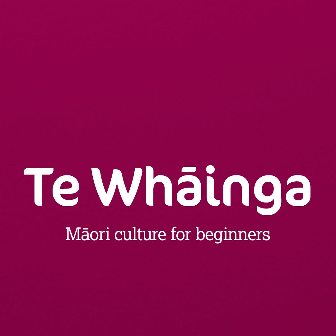 Te Wānanga o Aotearoa Facebook ad