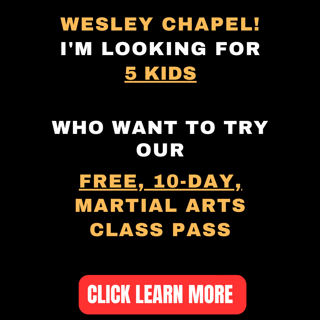 085 Brazilian Jiu Jitsu Facebook ad: Want a FREE 10-Day, Kids Martial Arts Class Pass?