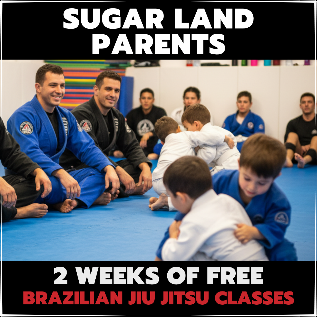 LX Jiu-Jitsu & Self Defense - Sugar Land, TX Facebook ad