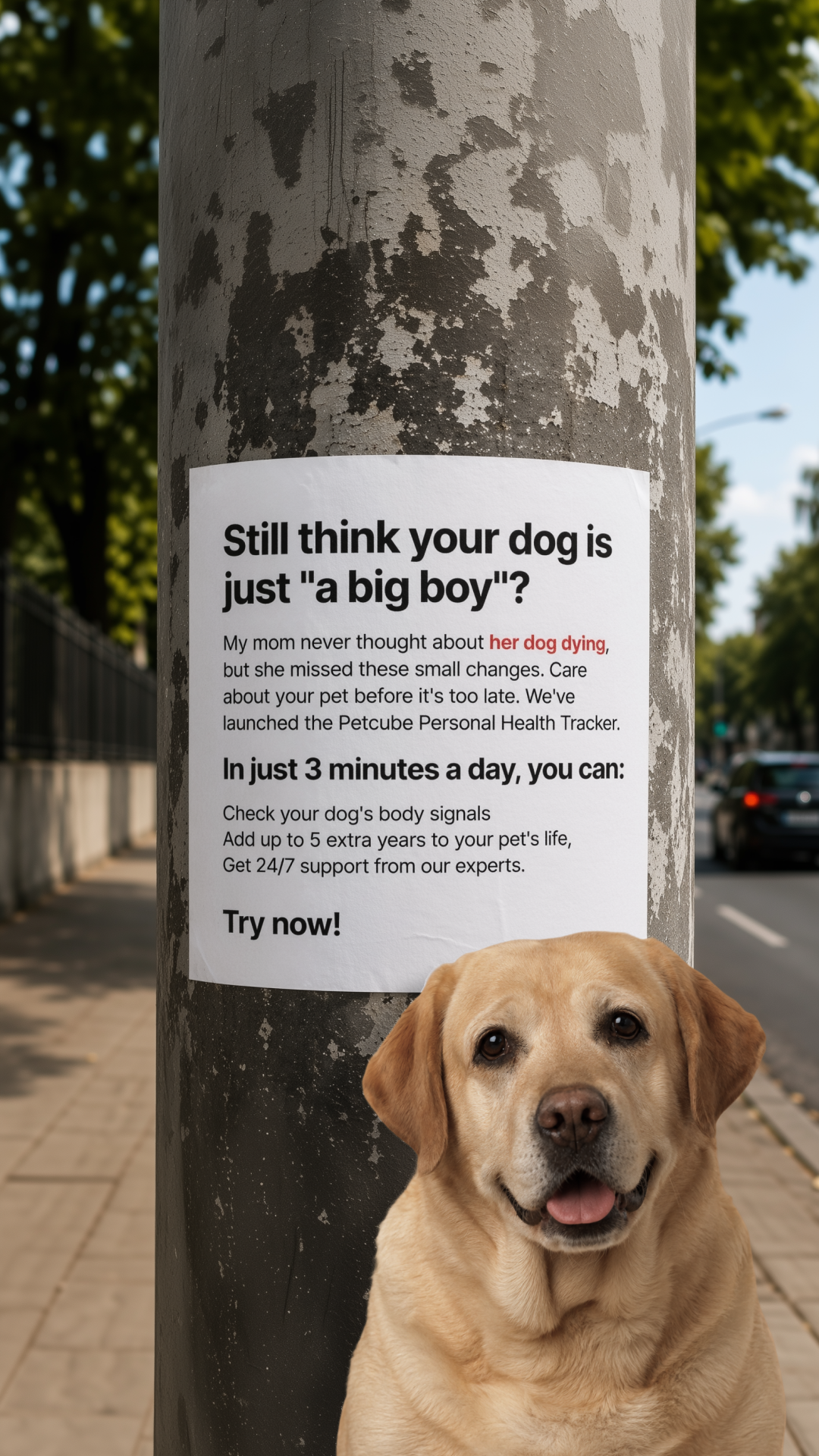 Petcube Facebook ad