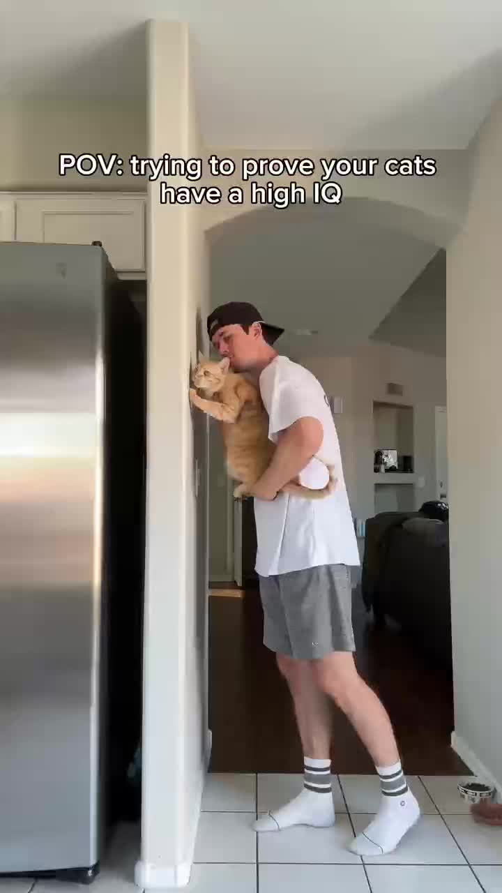 TikTok - US Facebook ad: Find content that fits your interests.