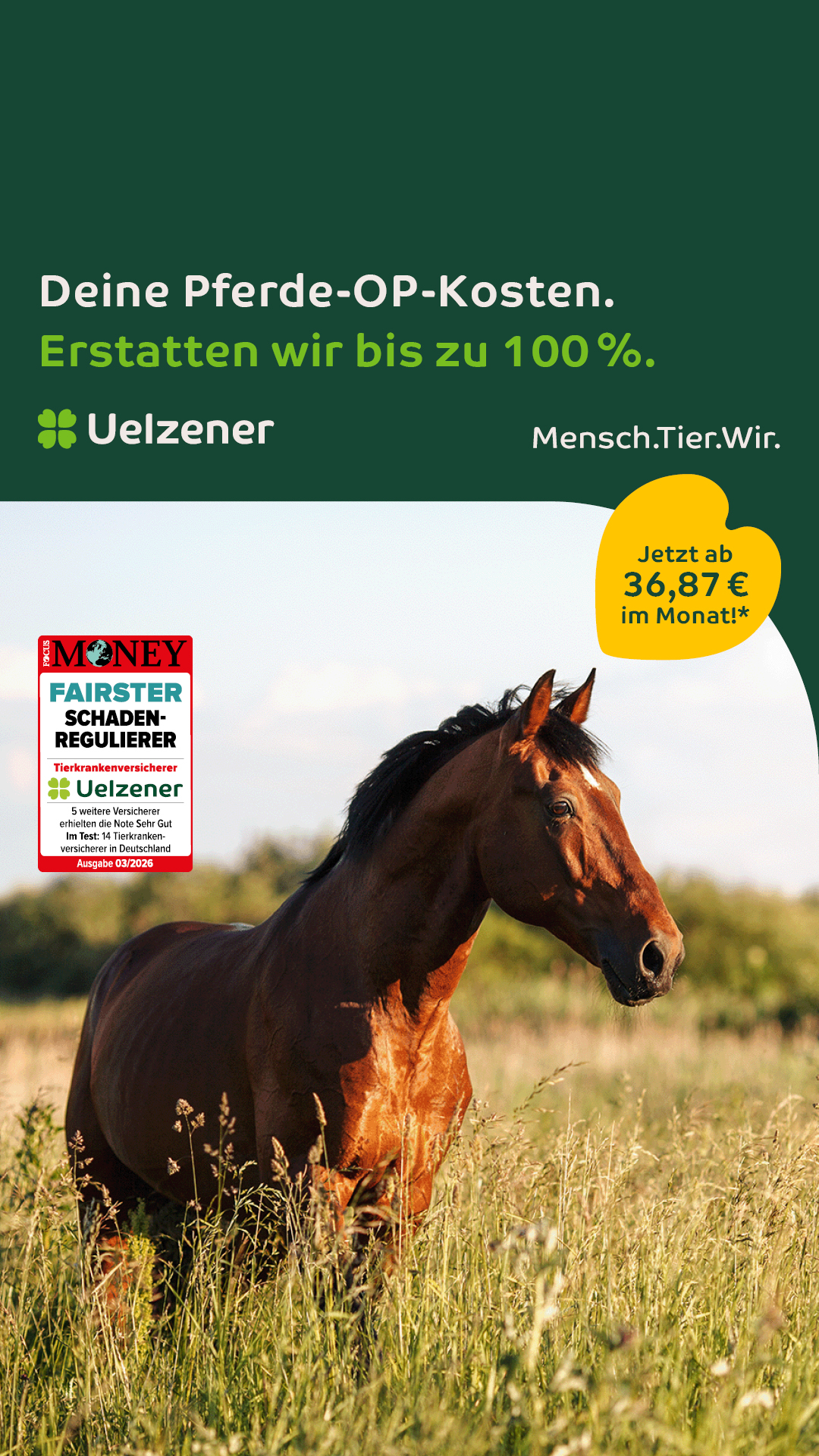 Uelzener Versicherungen Facebook ad
