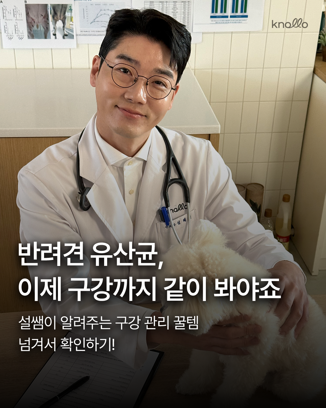 놀로스토어 knollo store Facebook ad: 반려견 유산균, 장에만 도움을 주는 게 아니라