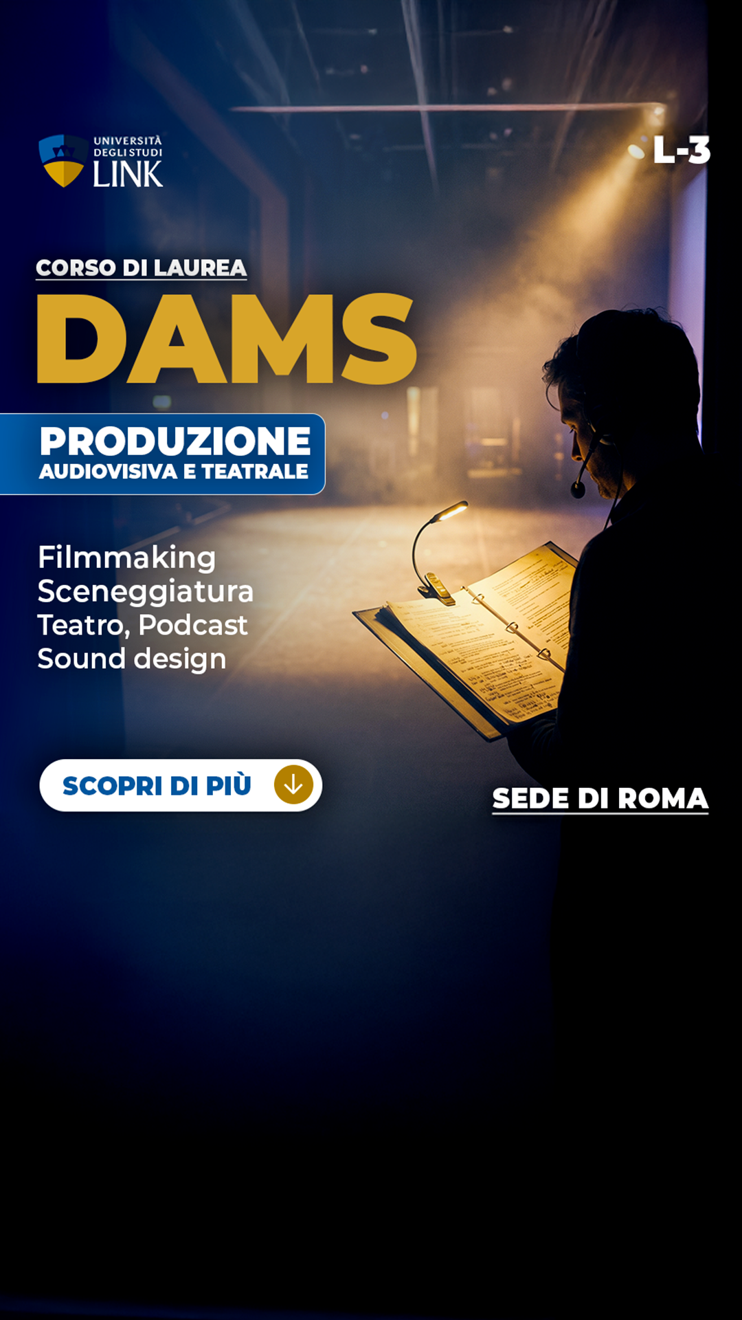 Università degli Studi Link Facebook ad: Laurea Triennale DAMS a Roma