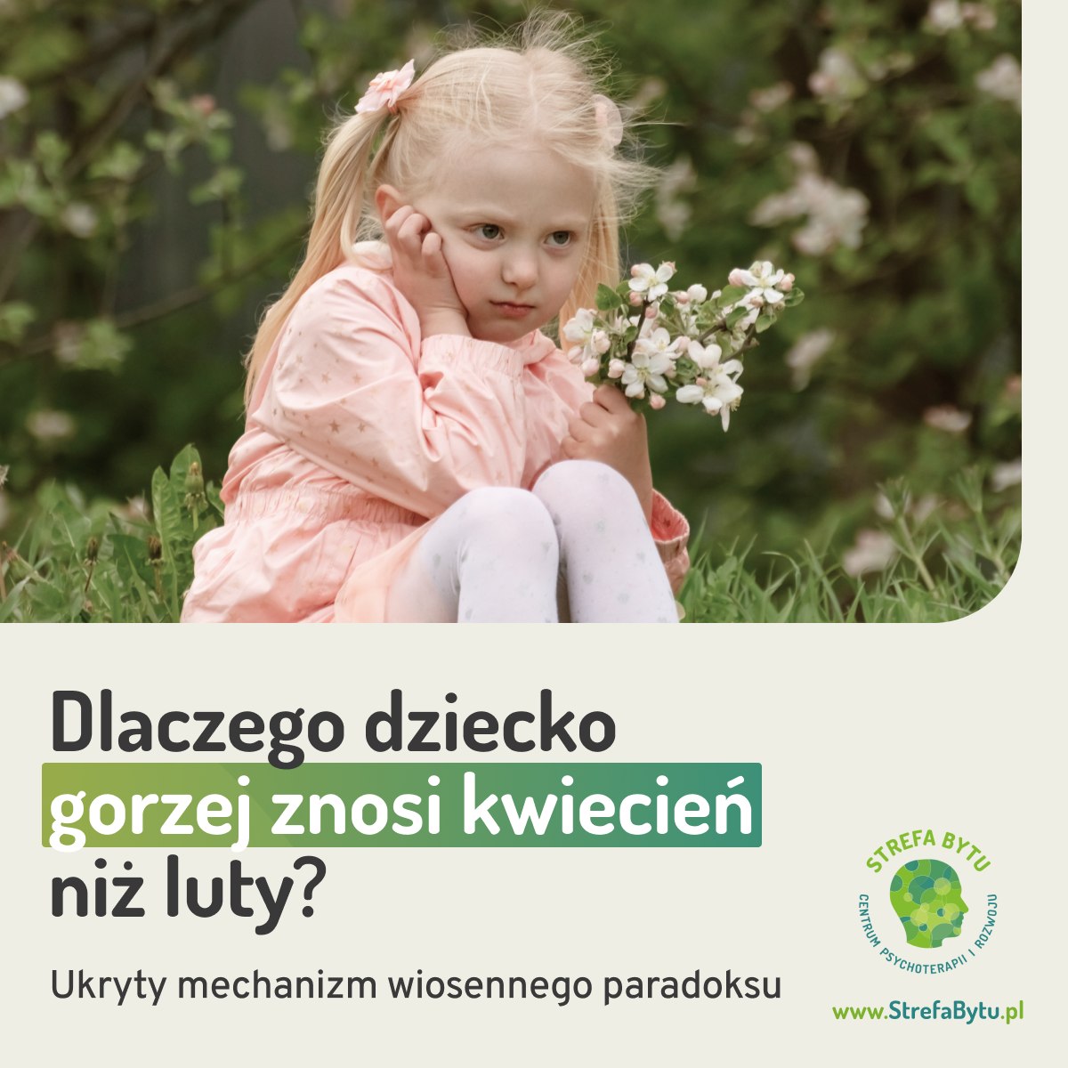 Strefa Bytu - Centrum Psychoterapii i Rozwoju Facebook ad: Luty: jakoś szło.