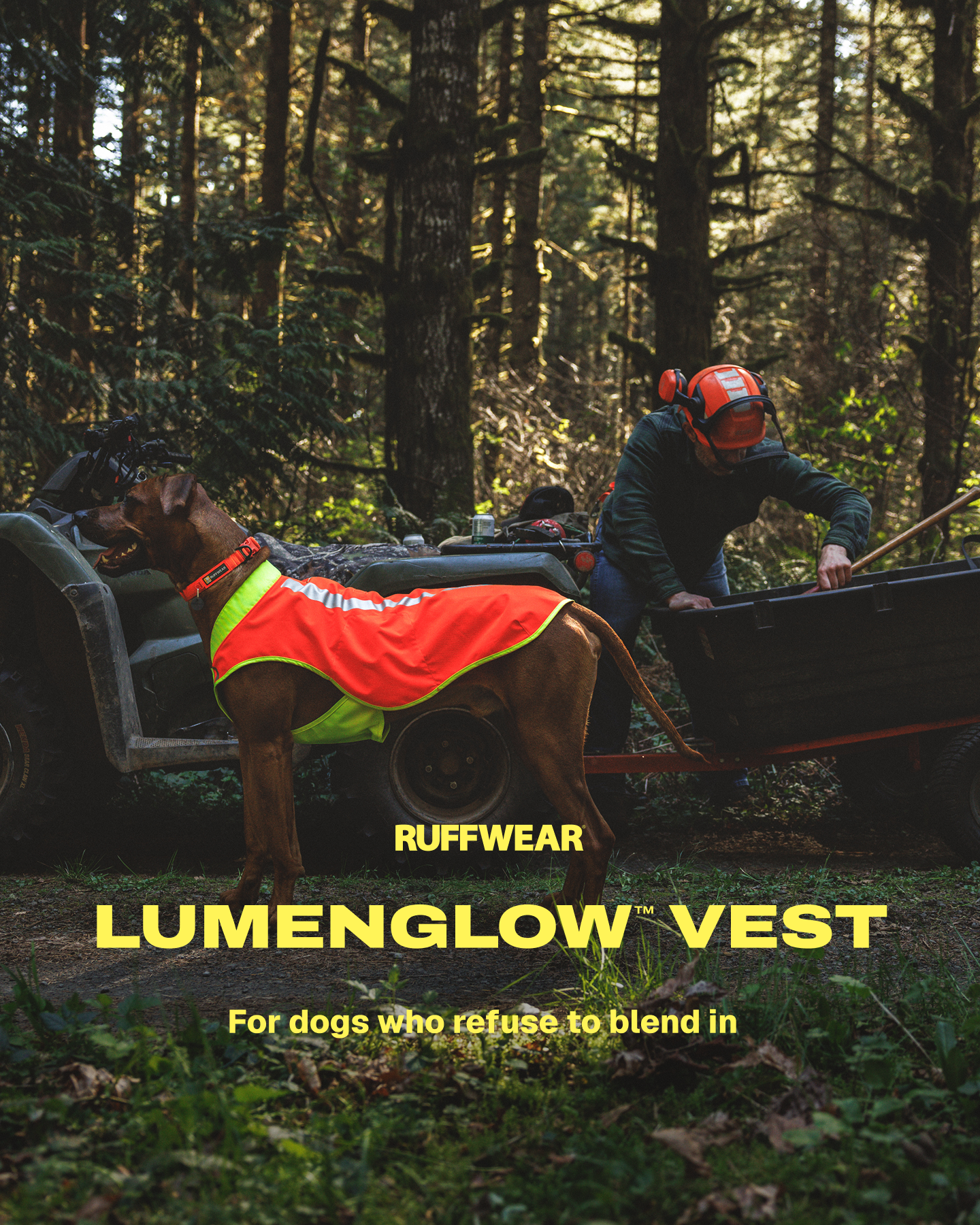 Ruffwear Facebook ad