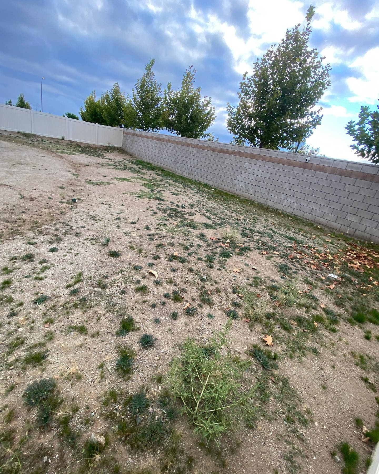 alfredo_landscaping Facebook ad