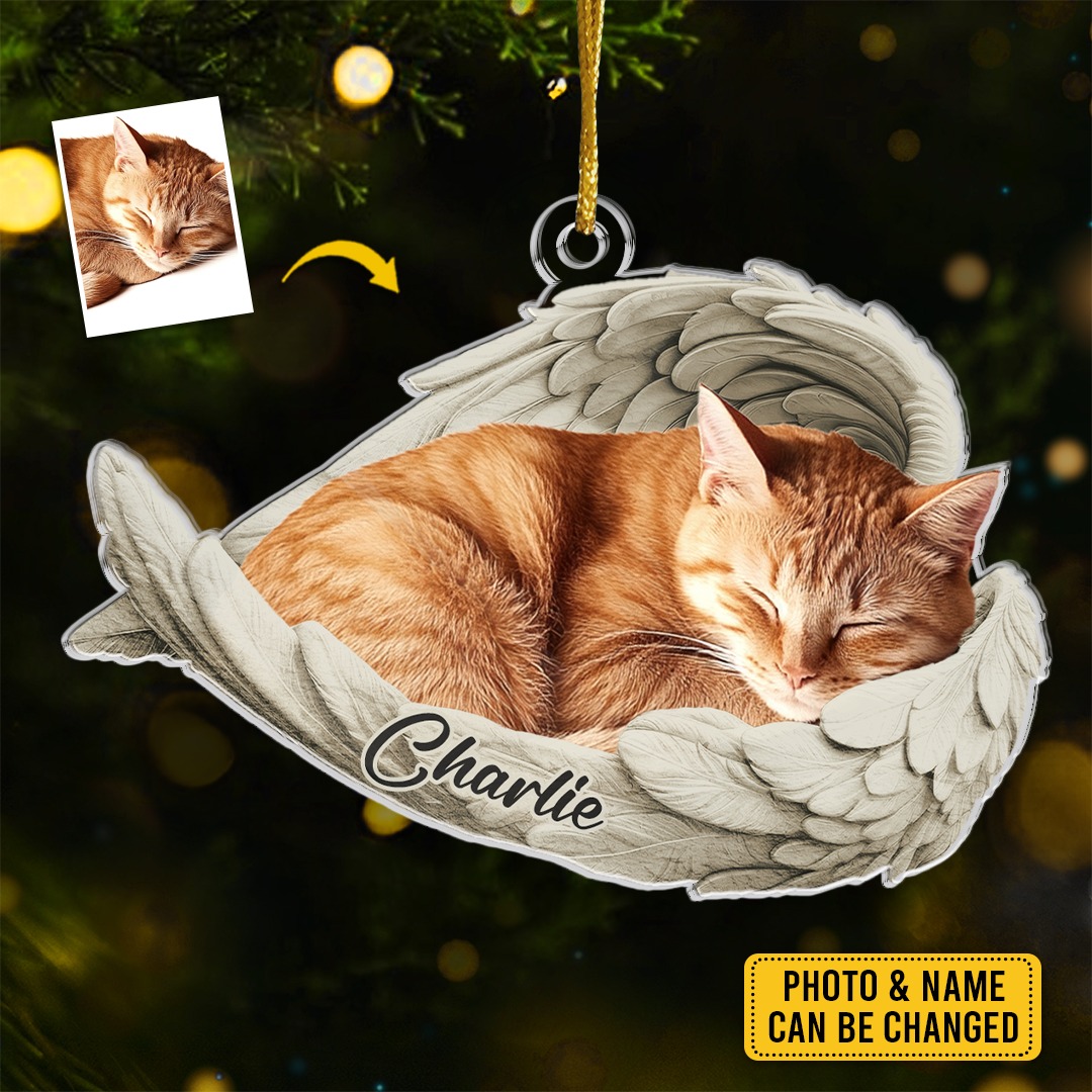 The Pawfect House Store Facebook ad