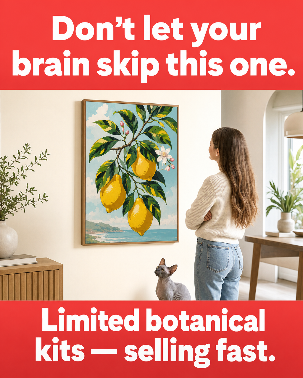 Davincified Facebook ad