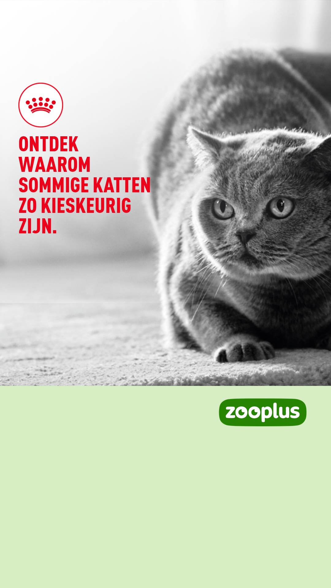 zooplus Facebook ad