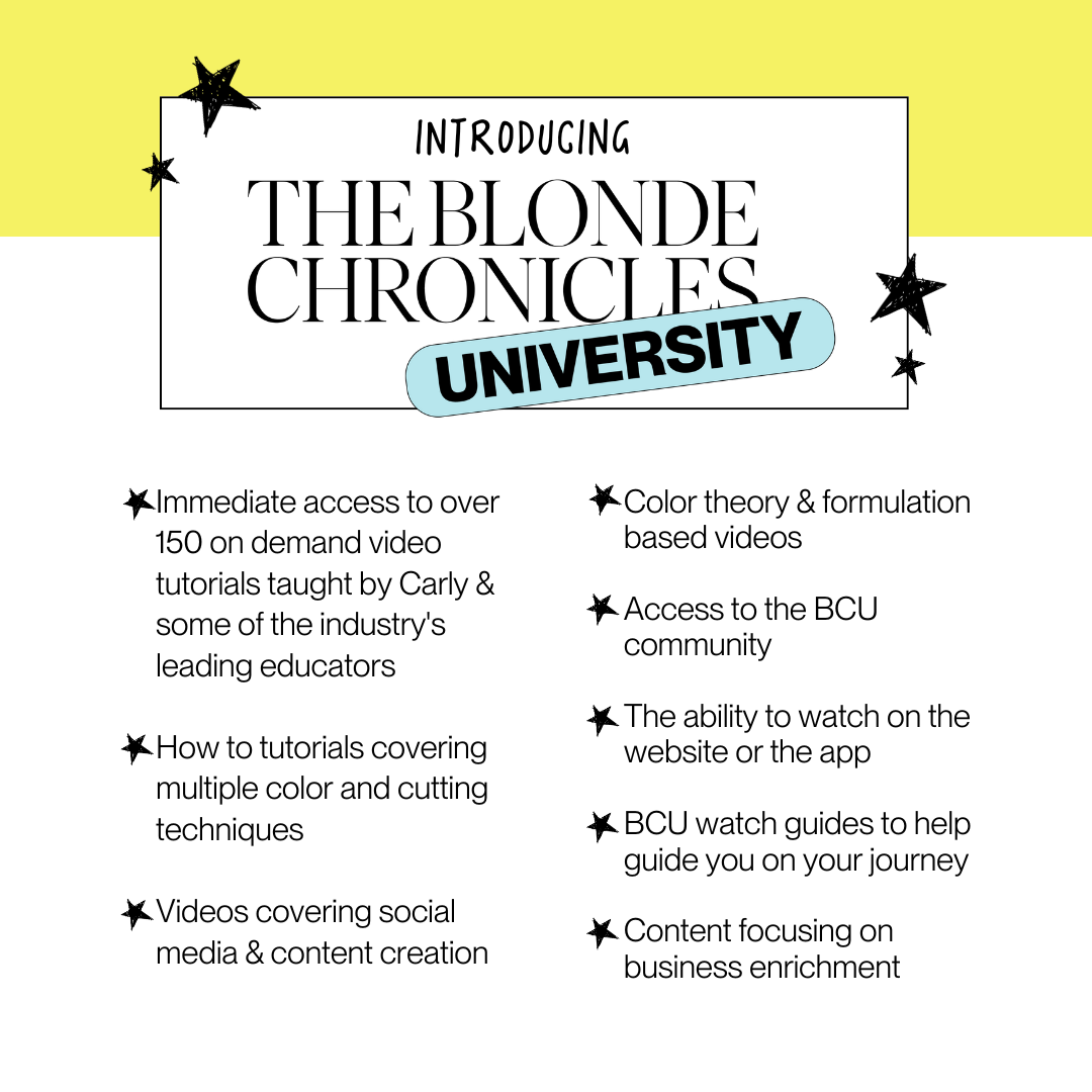 The Blonde Chronicles Facebook ad