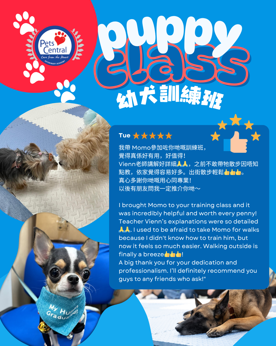 Pets Central Facebook ad