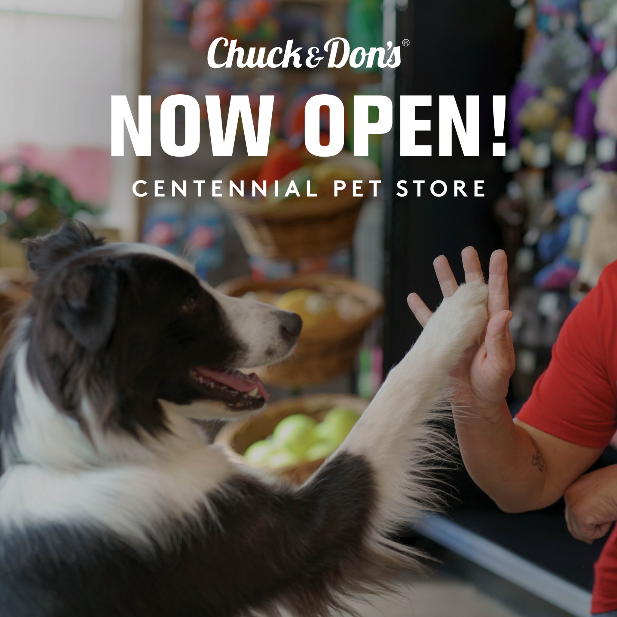 Chuck & Don's Pet Food & Supplies Facebook ad