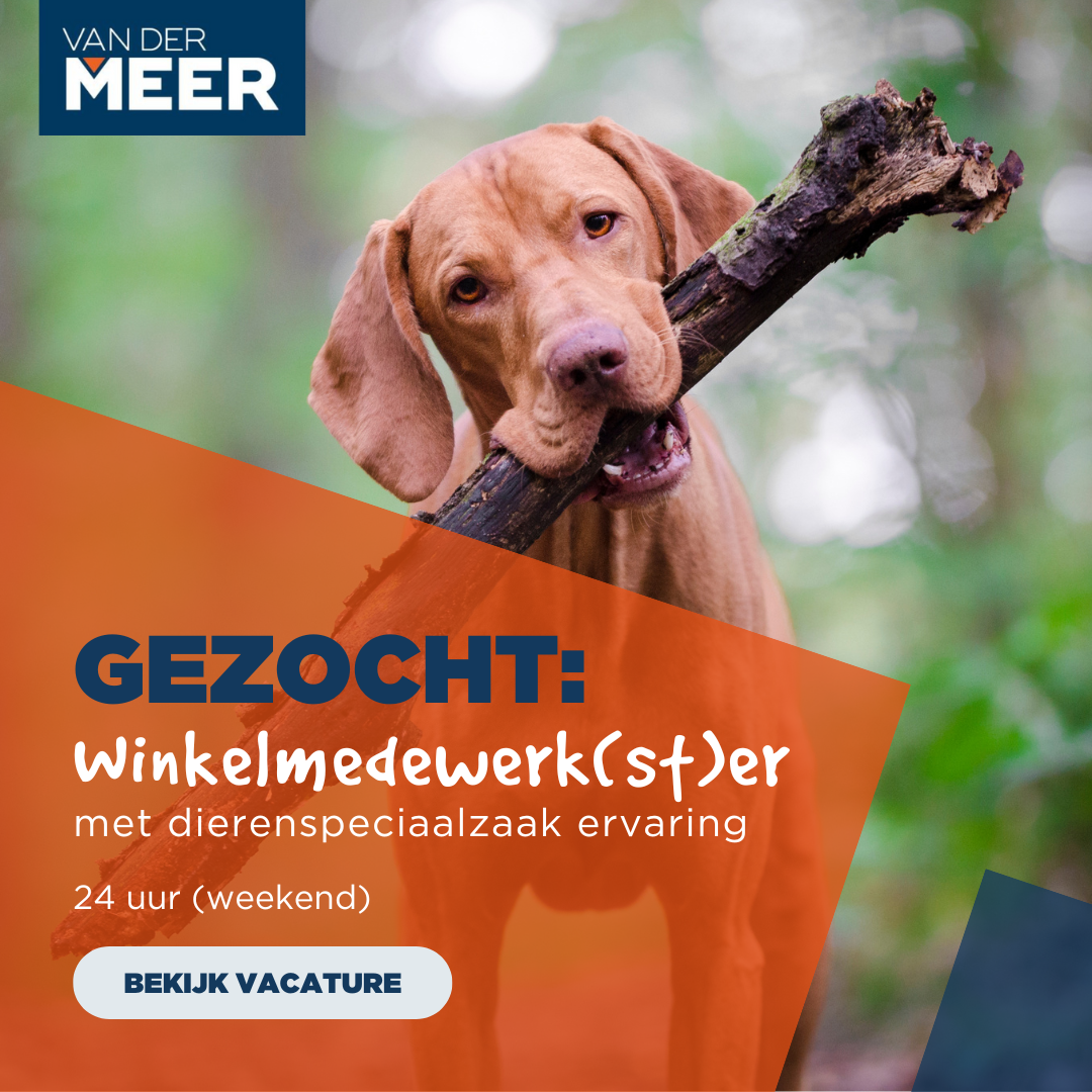 Van der Meer Diertotaalgroothandel Facebook ad: Solliciteer nu →