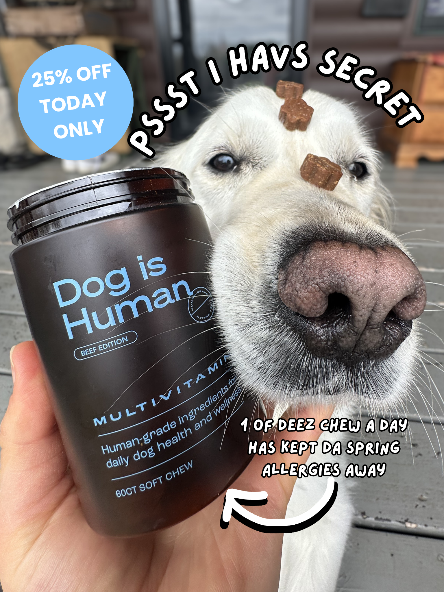 Dog is Human Facebook ad