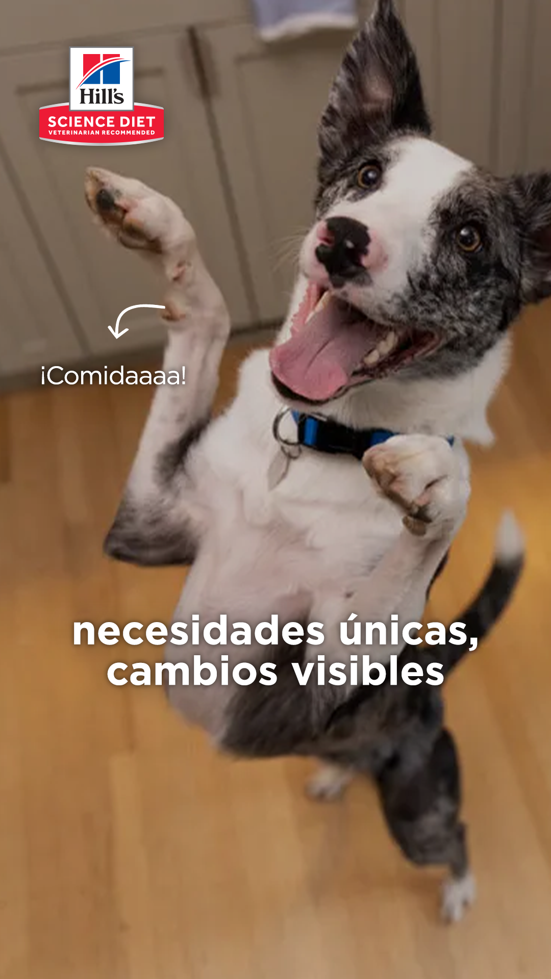 Hill's Pet Colombia Facebook ad