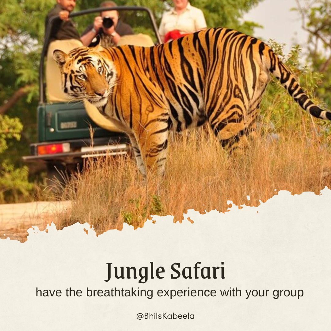 Bhil's Kabeela Facebook ad: Discover the Wild: Jungle Safari Adventure at Kanha…