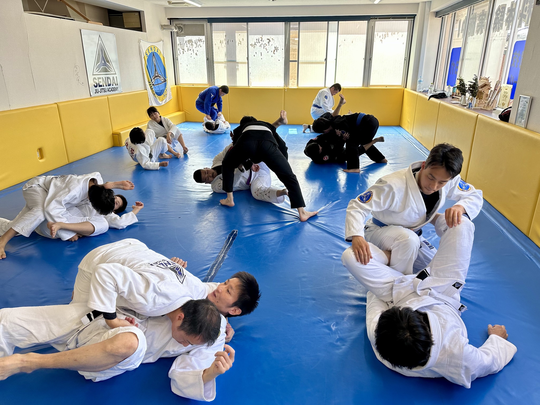 Sendai Jiu-Jitsu Academy Facebook ad