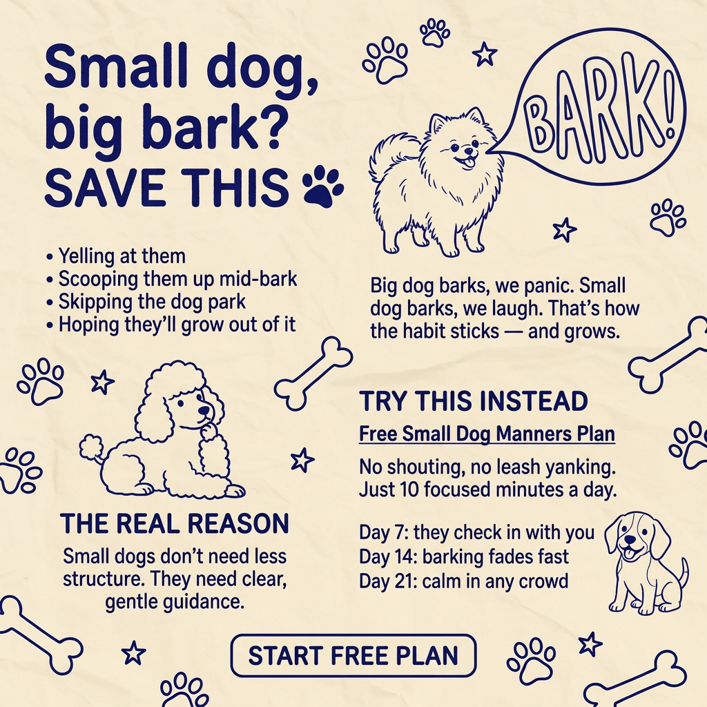 Dogo Facebook ad
