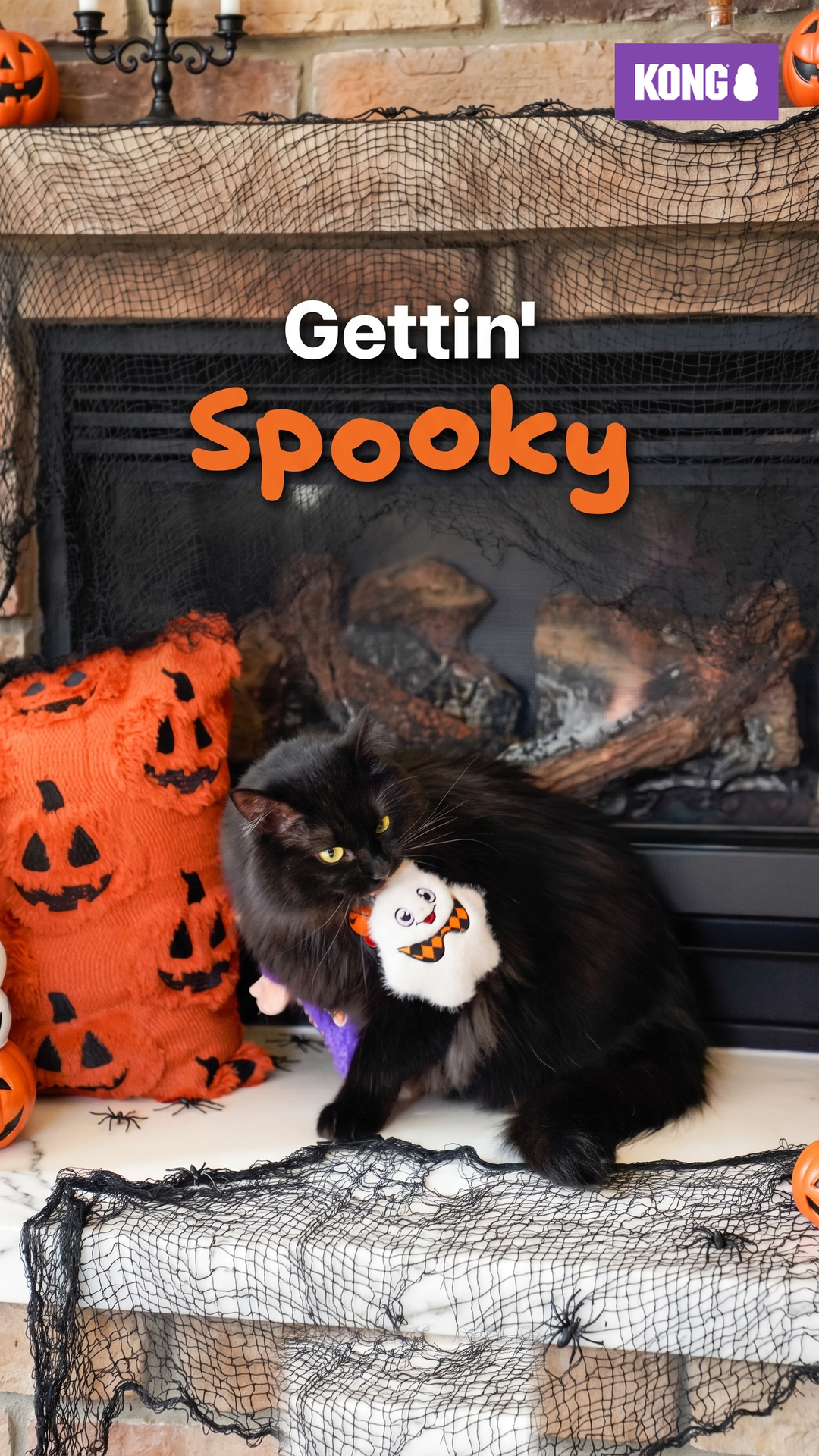 KONG Facebook ad: Cats Deserve Spooky Toys Too