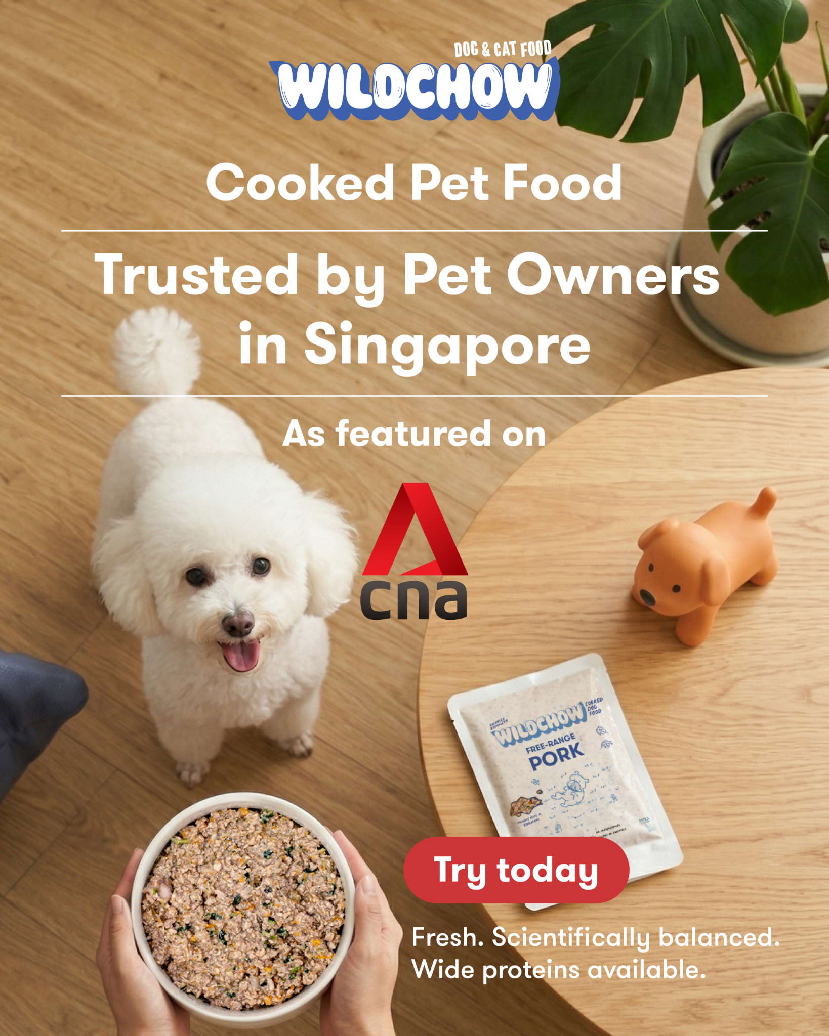 WildChow Pet Facebook ad