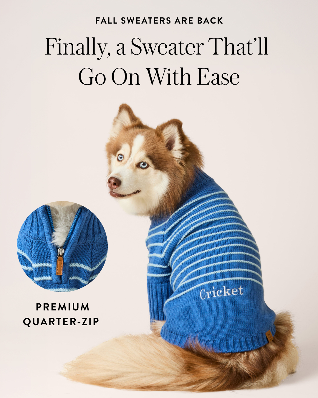 The Foggy Dog Facebook ad