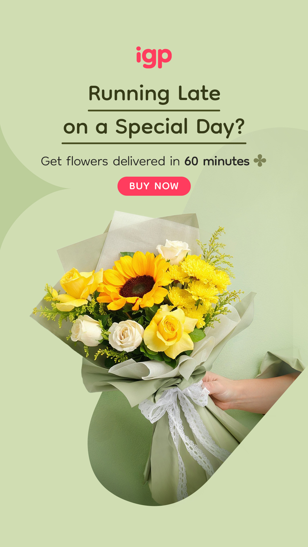IGP.com Facebook ad