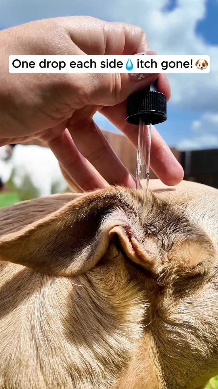 Dr. Max Pet Care Facebook ad: Notice the Head Shaking?