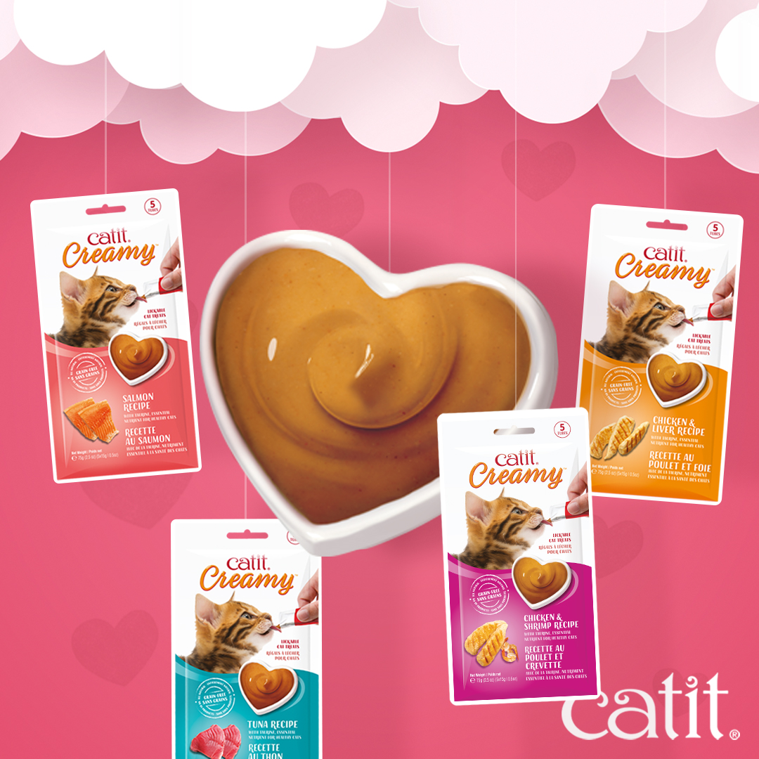 Catit Canada Facebook ad