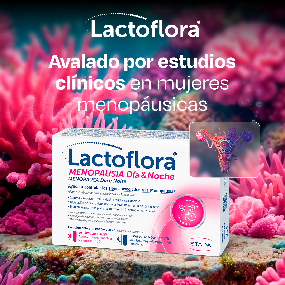 Lactoflora Facebook ad