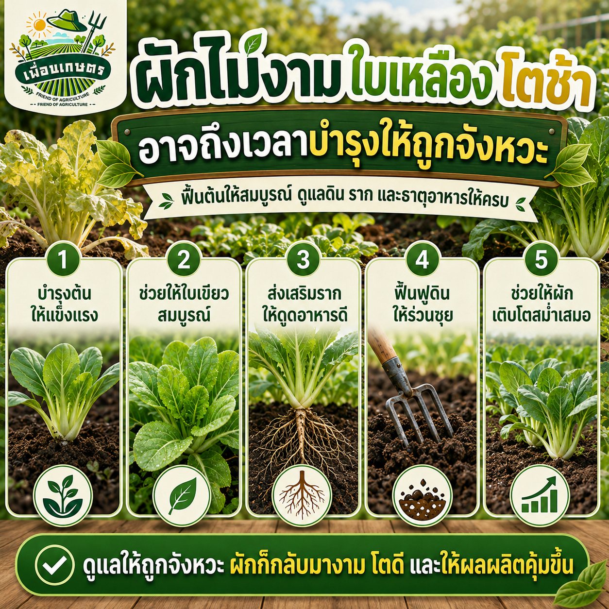 เพื่อนเกษตร Facebook ad: ผักโตช้า ใบเหลือง ต้นไม่สมบูรณ์ เก็บเกี่ยวได้น้อย