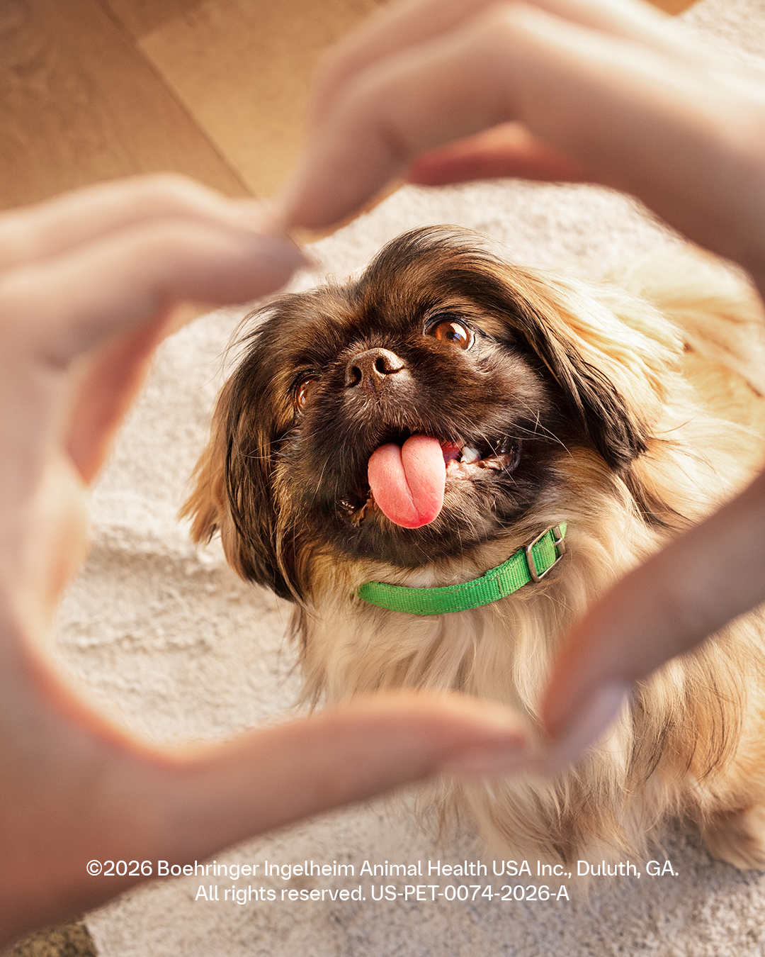 Boehringer Ingelheim Animal Health USA Inc. Facebook ad