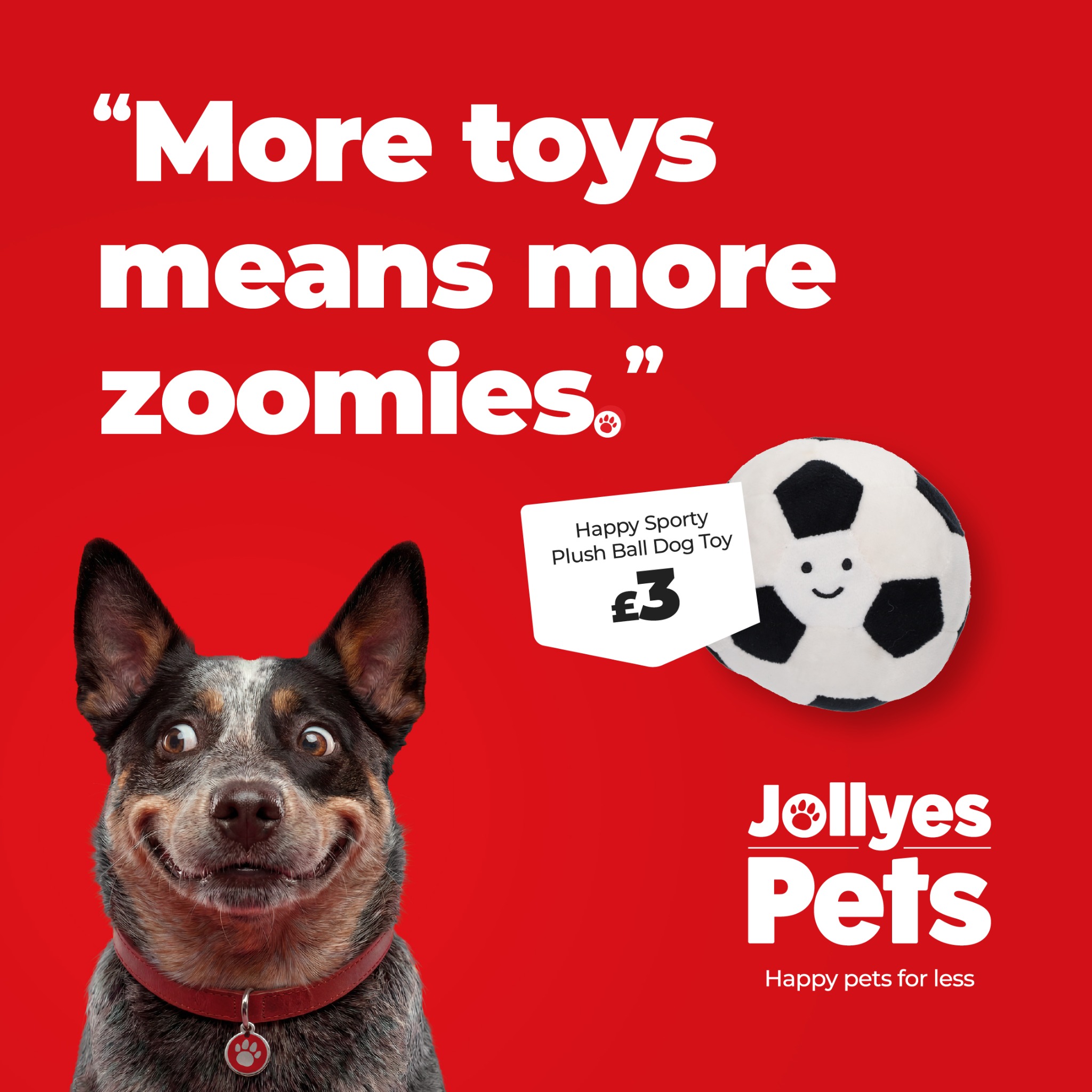 Jollyes - The Pet People Facebook ad: Shop savings on dog toys at Jollyes Pets…