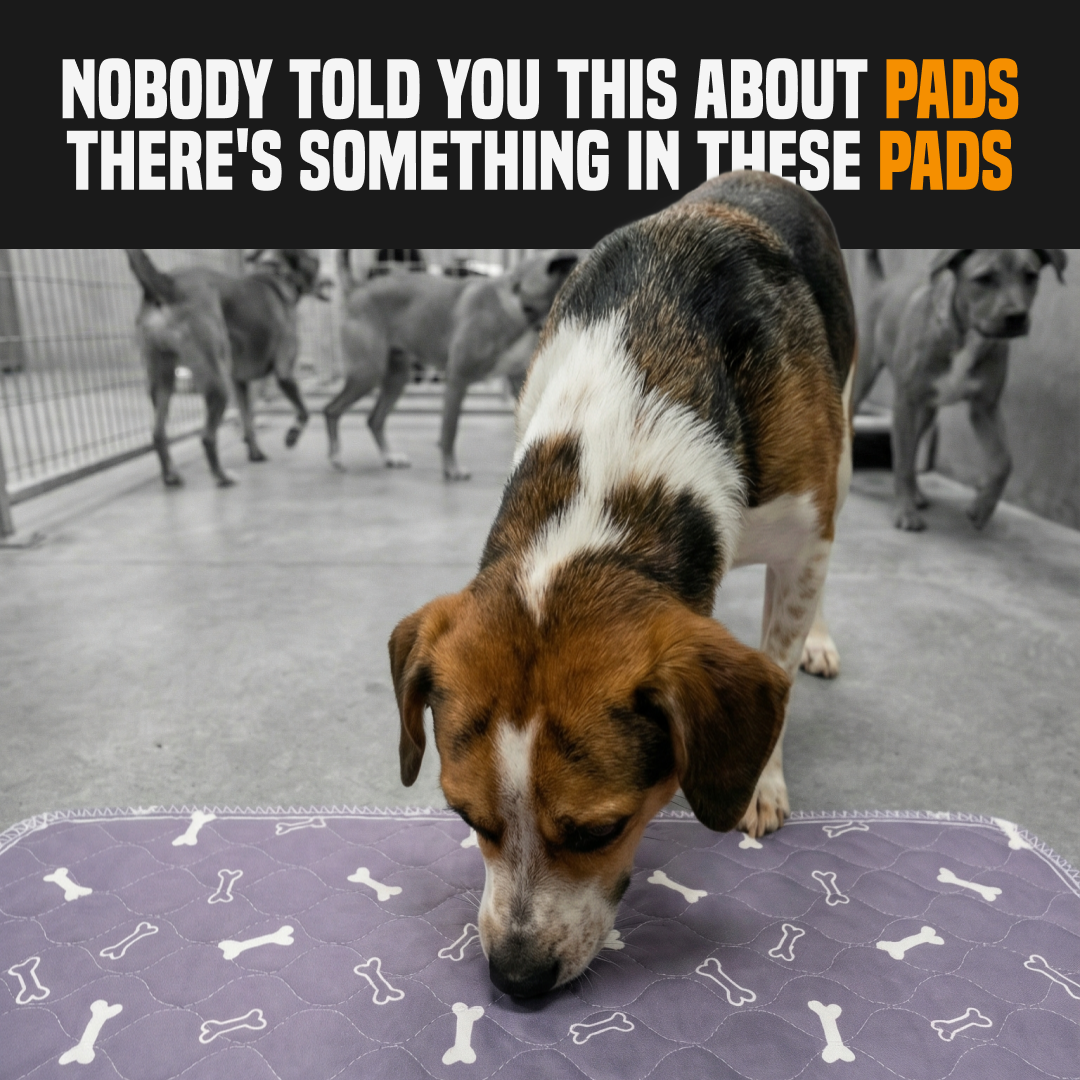 PuppyPad Facebook ad