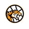 Inner City Tigers