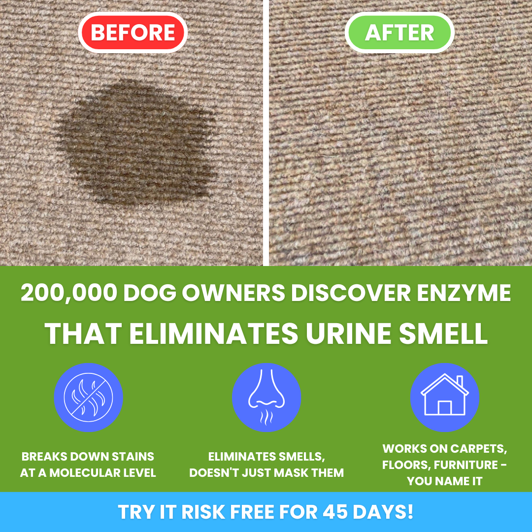 Pet-Lab Facebook ad