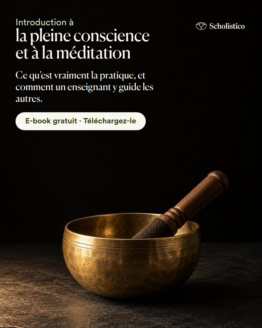 Scholistico en Français Facebook ad: La méditation expliquée: e-book