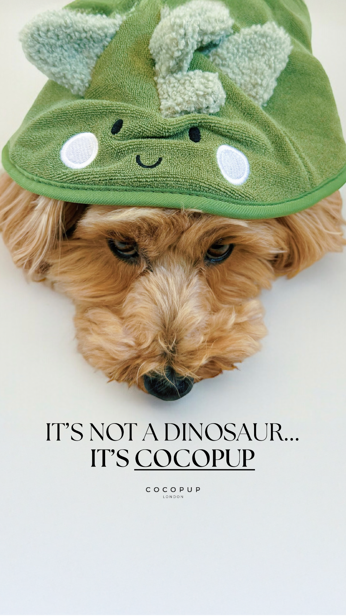 Cocopupuk Facebook ad