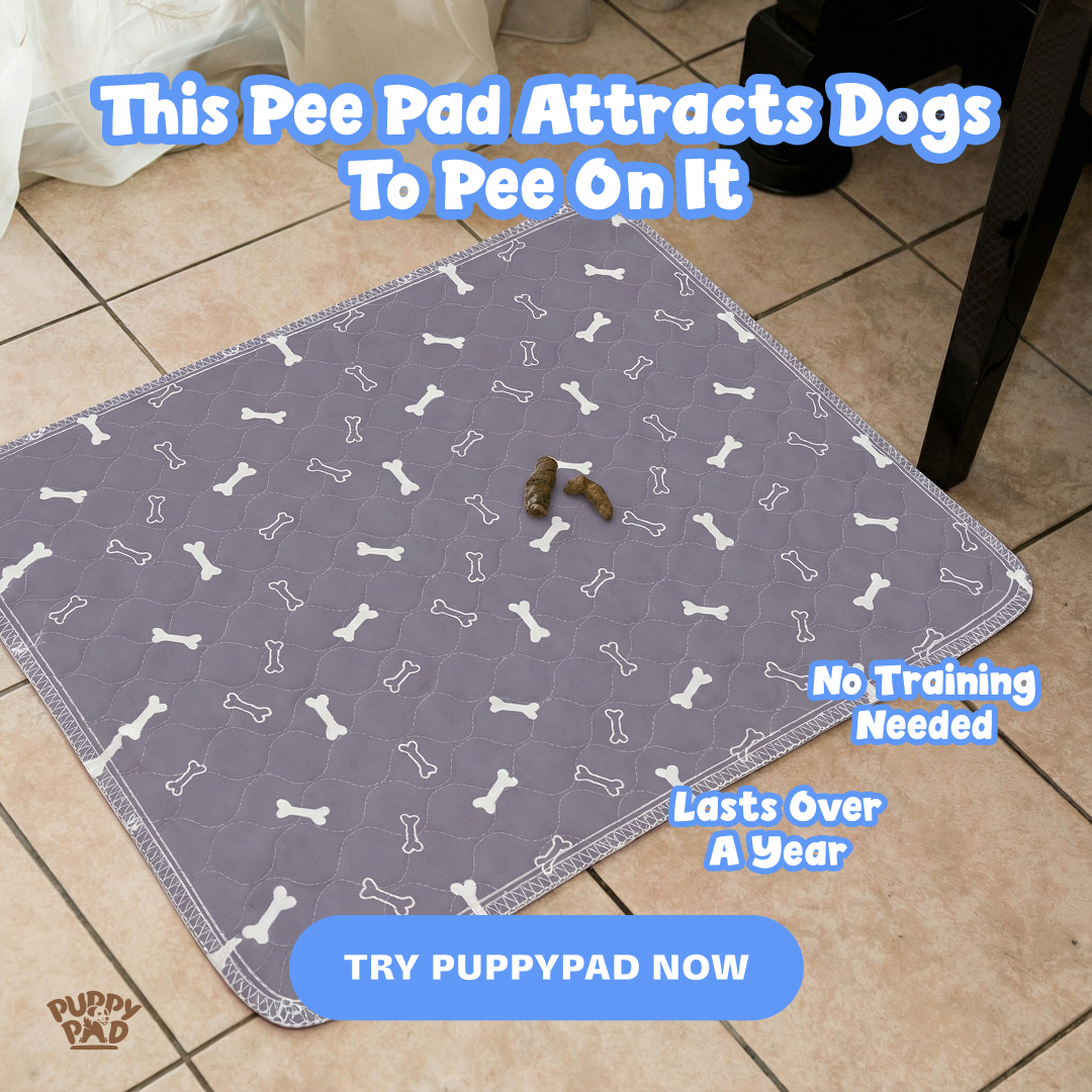 PuppyPad Facebook ad