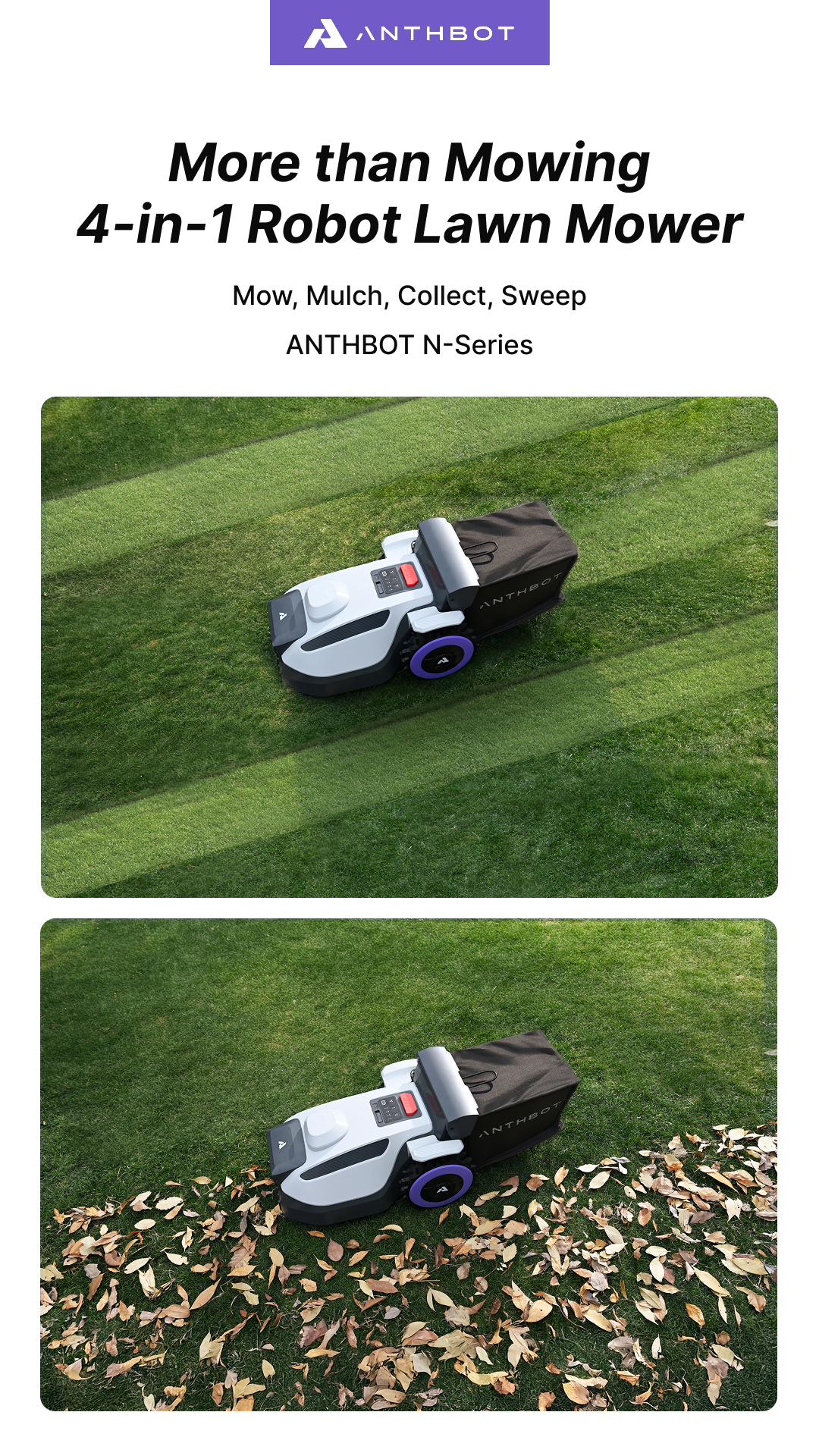 ANTHBOT Facebook ad