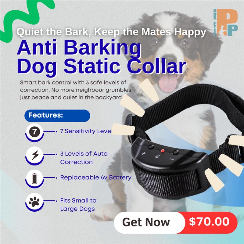 Perfect Paws Australia Facebook ad