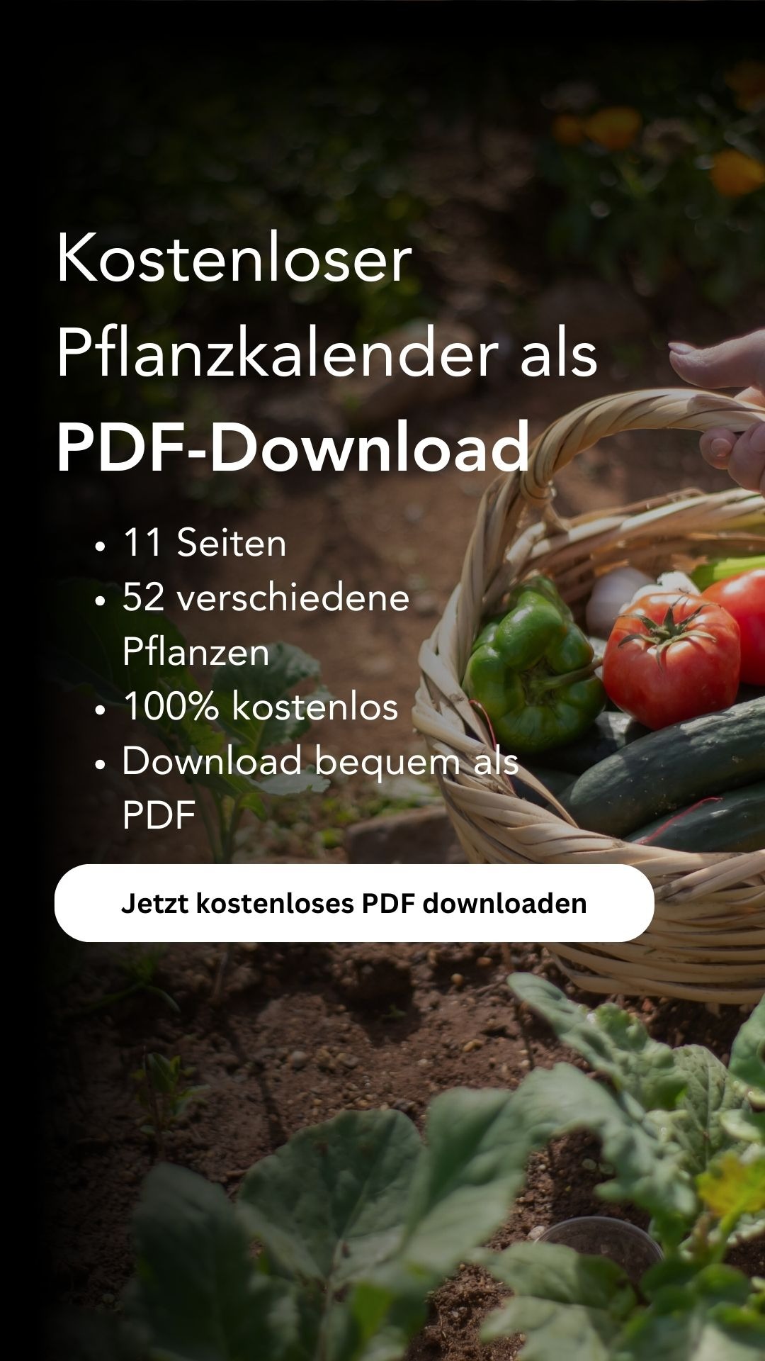 OFIVO Facebook ad