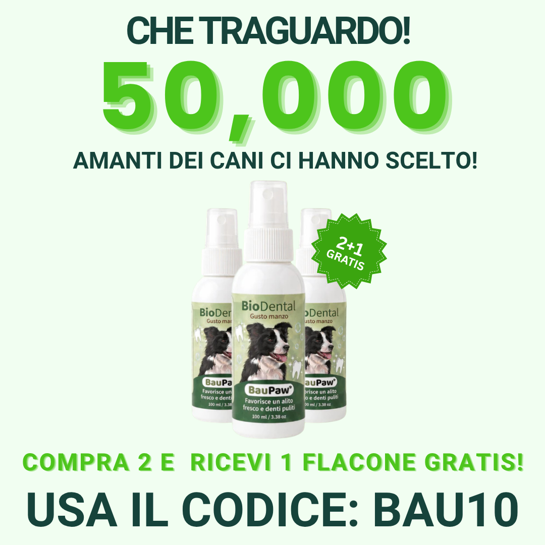 Baupaw Facebook ad
