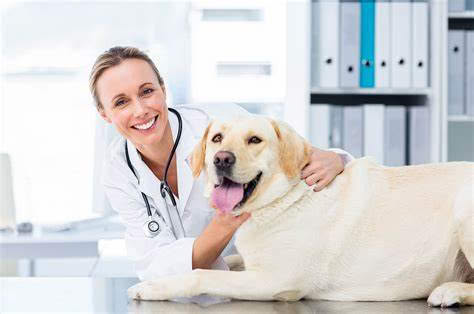 Tuggerah Animal Hospital Facebook ad