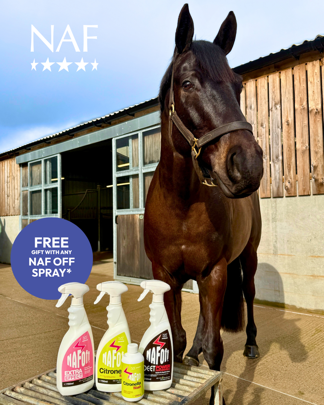 NAF Facebook ad